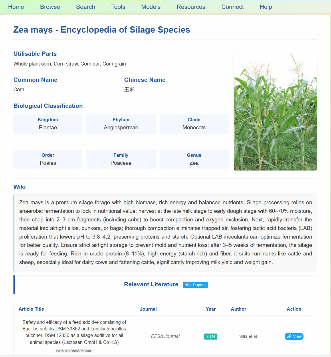 Species and literature