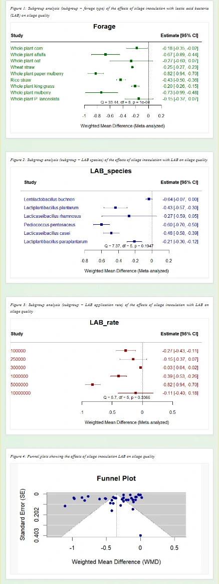 LAB Silage Effects