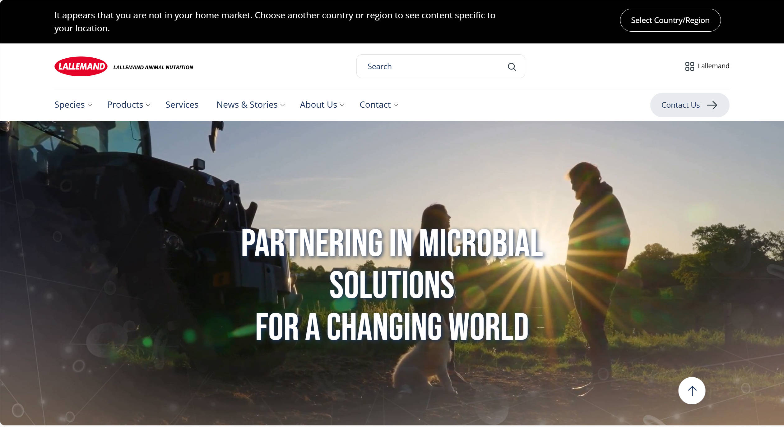 Lallemand Animal Nutrition